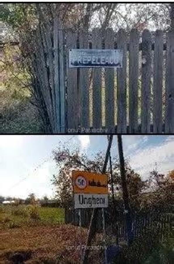 Teren Ungheni, ID: R2832820 - 9