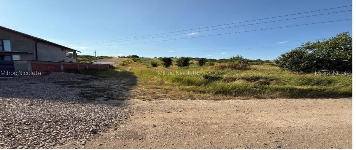 TEREN DE VANZARE | INTRAVILAN |3597 MP| BEIUS - 1