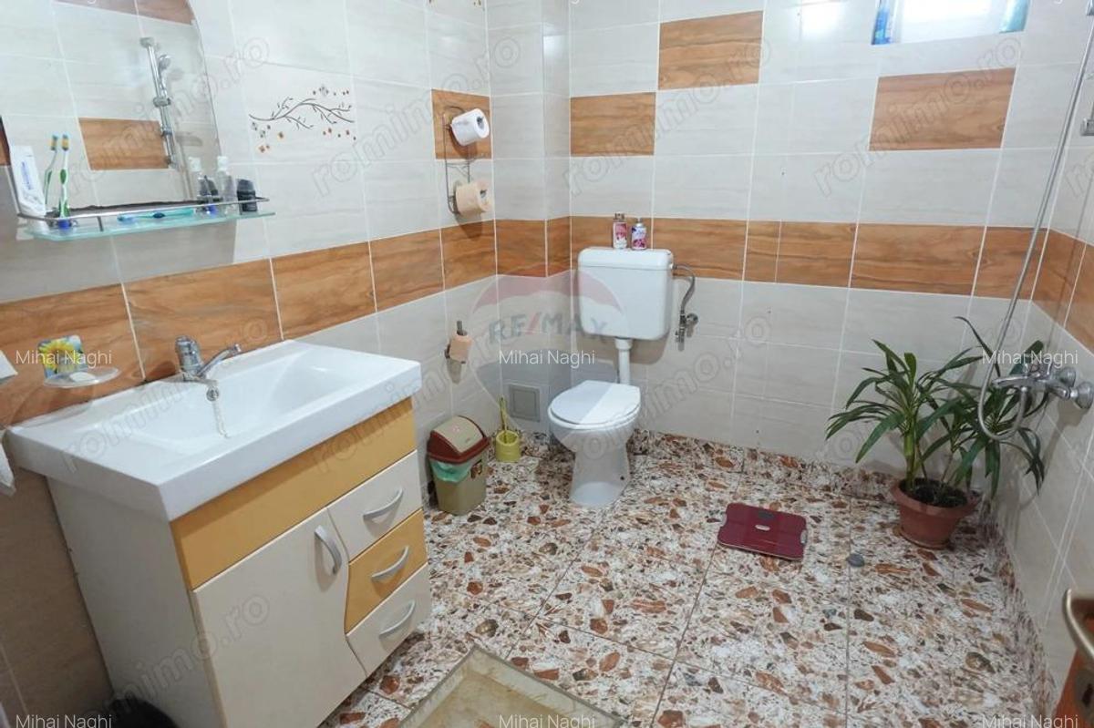 Casa / Vila cu 4 camere de vanzare Catalina - 15