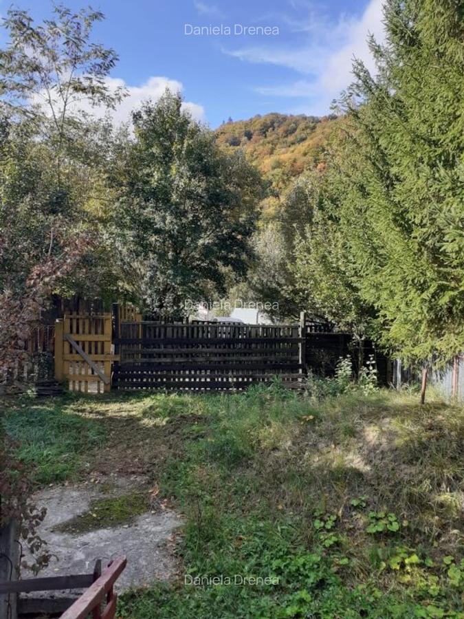 Casa zona Lepsa pret 46000 euro - 3