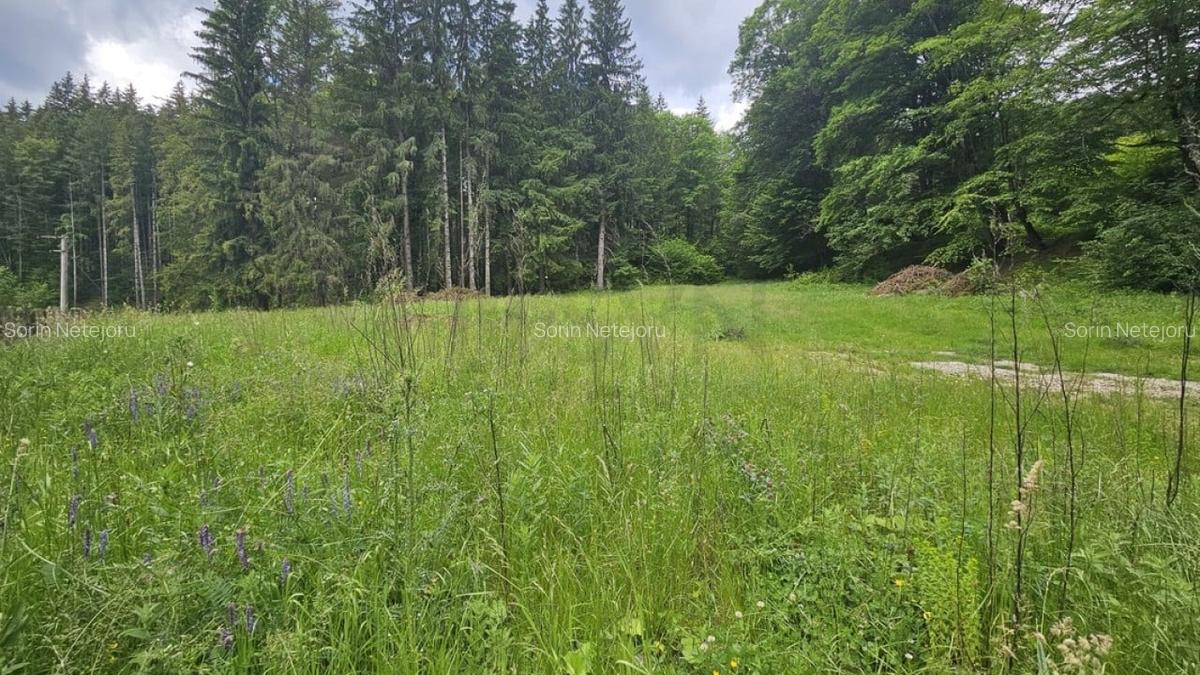 Teren Construcții intravilan de 7546 mp, în Valea Doftanei - 3
