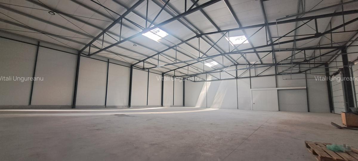 Drumul intre Tarlale, sector 3, hala 590 mp - 3