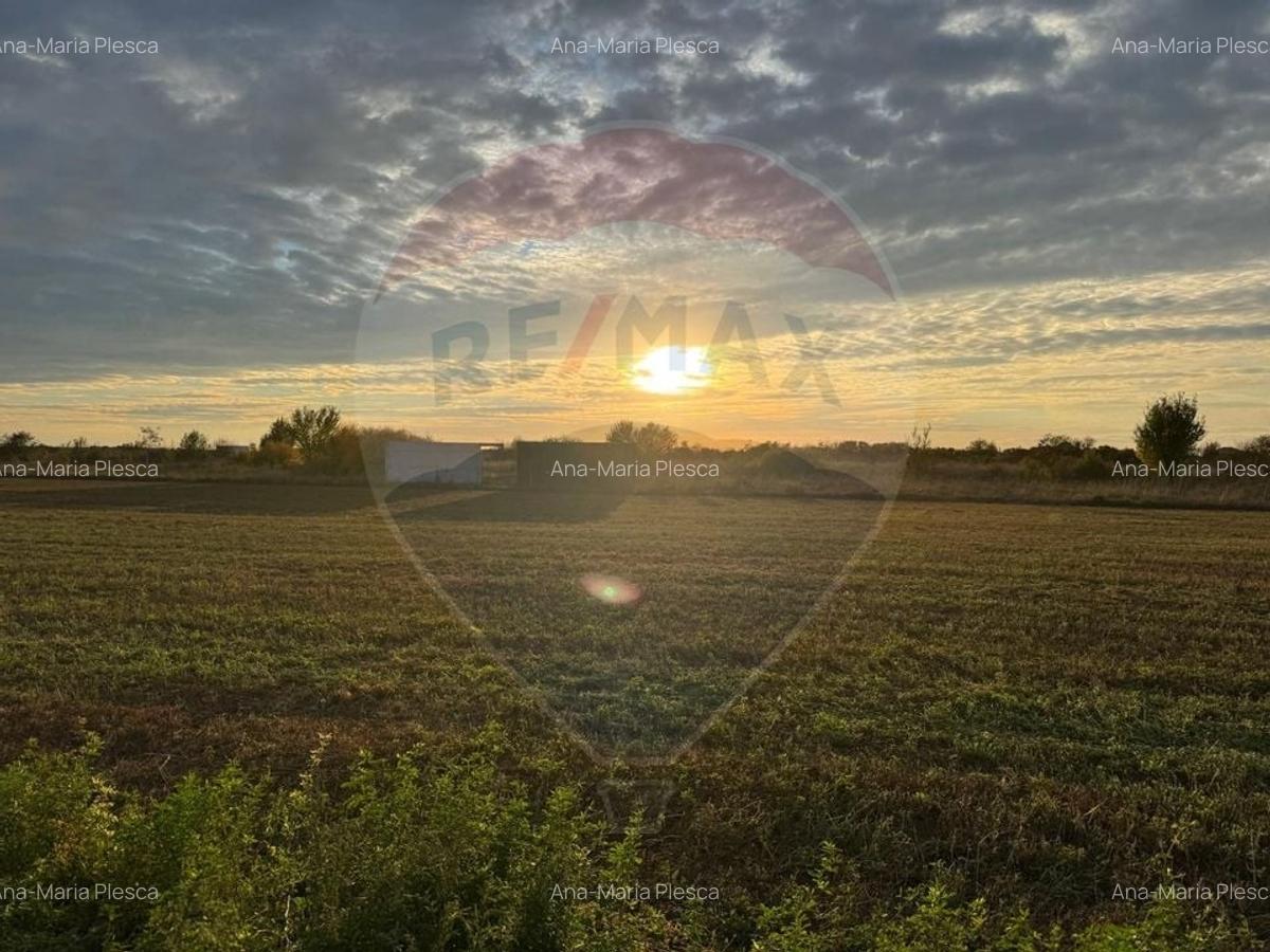 Teren 438mp in Bujac-Arad - 1