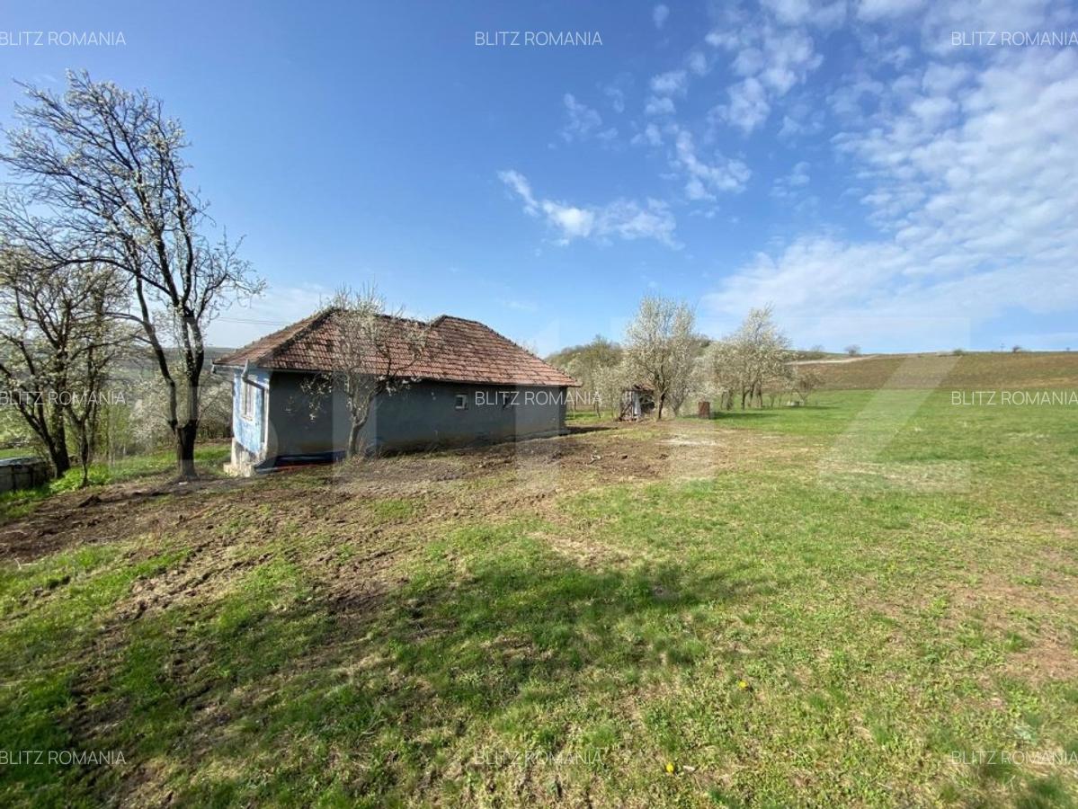 Casa  cu 10000mp de teren in Buza, la 50 km de Cluj-Napoca - 8