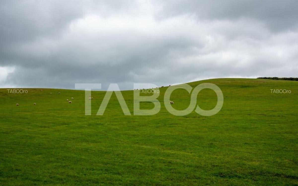 Teren intravilan de vanzare 5.986 mp Selimbar Sibiu - 5