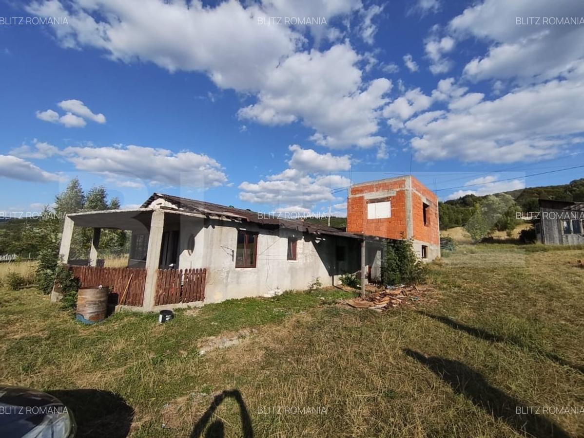 De vanzare casa, zona turistica Vadu Crisului - Bratca, cu teren 5000 mp - 11