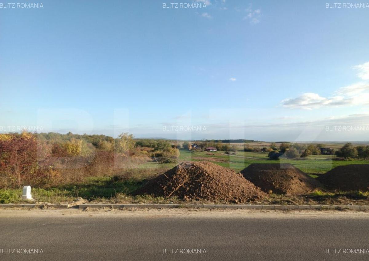 Teren intravilan de vanzare, 1918 mp, Ardud - 1