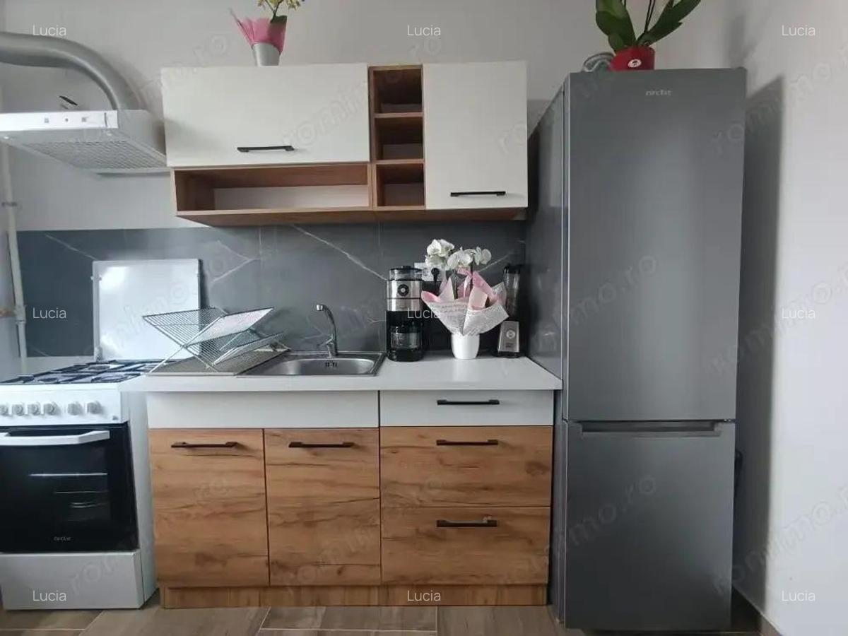 Apartament cu 1 camera pod pe toata suprafata Calea Urseni - 1