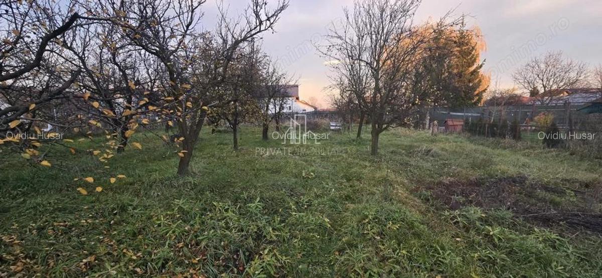 Teren Intravilan 1,2 Hectare cu Cert Urbanism,Sat Tisieu,Com. Ibanesti - 1