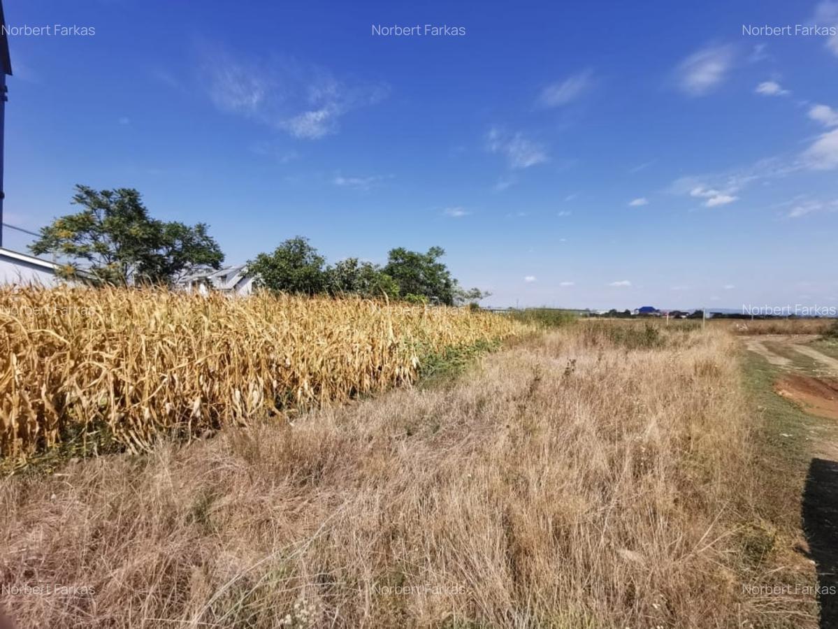 Teren intravilan de vanzare in Osorhei, 5.840 mp, cu front 3 fronturi stradale. - 4