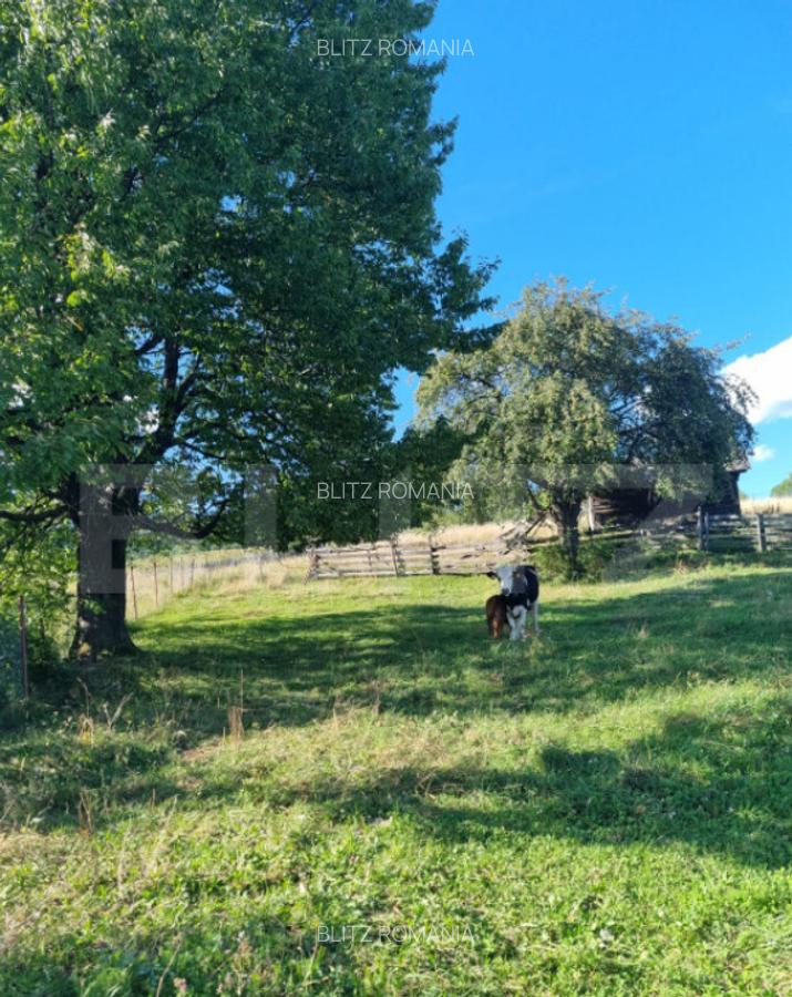 Teren intr-o zona superba din Campulung Moldovenesc - 6