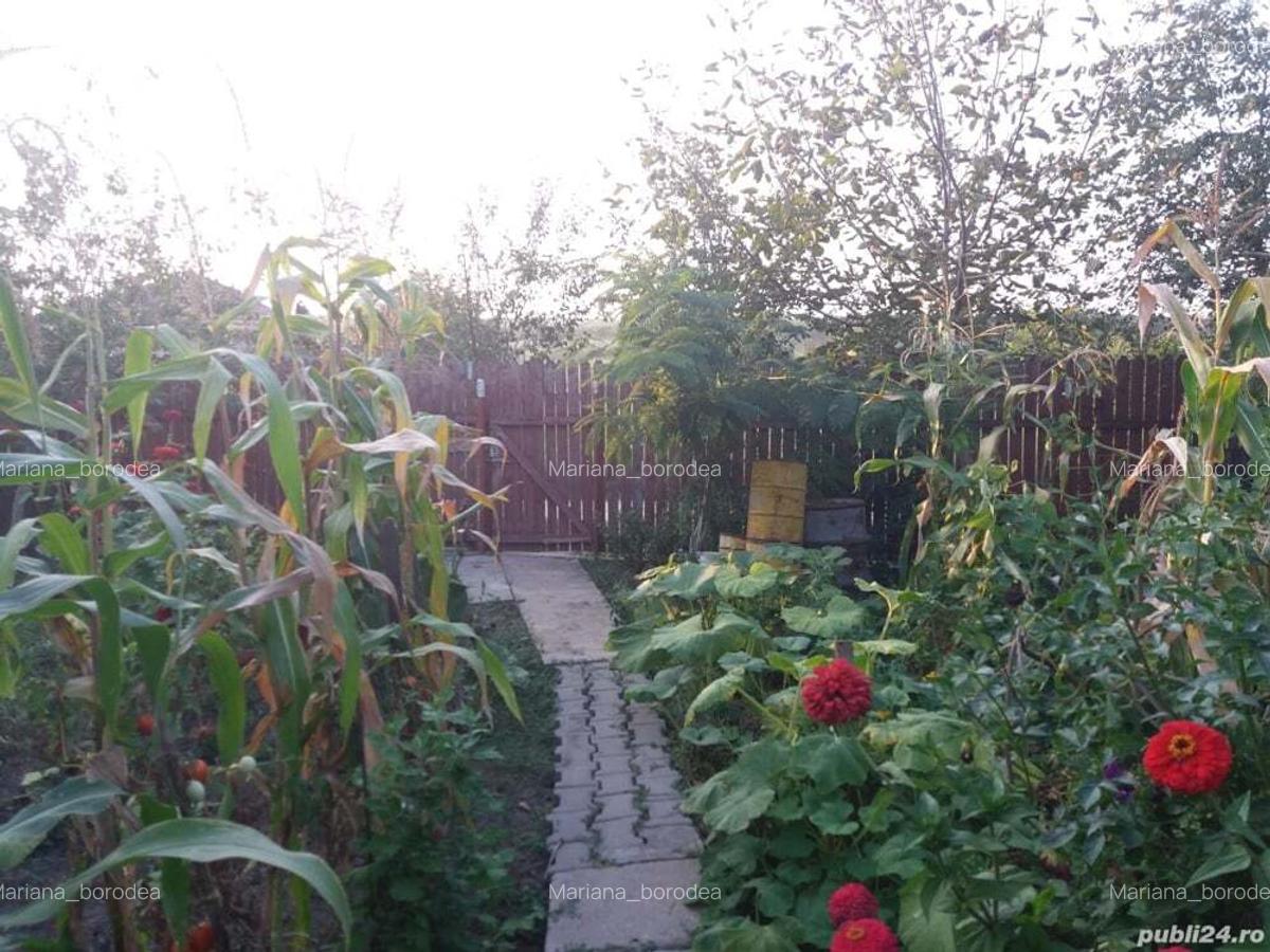 Vand urgent casa de vacanta o camera cu pod in Ghizdaru - 7