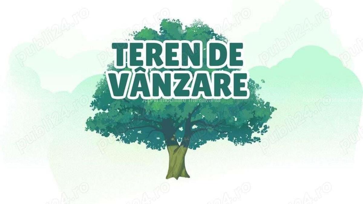 Teren intravilan Zalau (Ortelec zona centrala) - 1