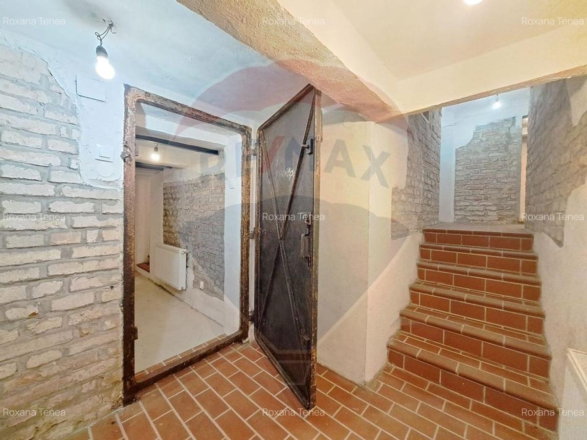 Spatiu comercial-Demisol-Atelier de arta - 4