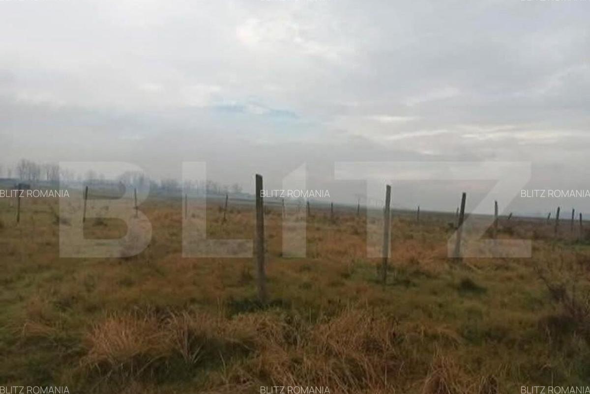 Teren Intravilan, 600 mp in zona Peugeot - 4