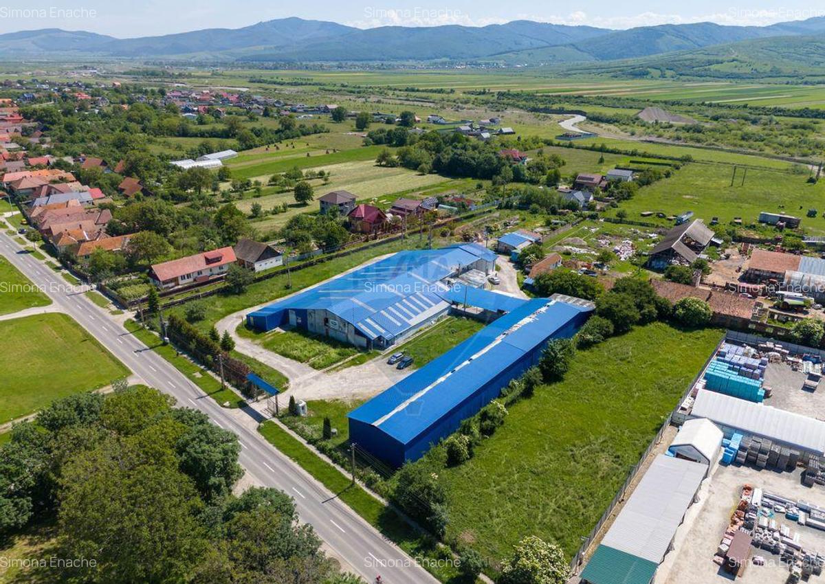 Comision 0 |Oportunitate : Hala Productie, hala depozit |... - 2