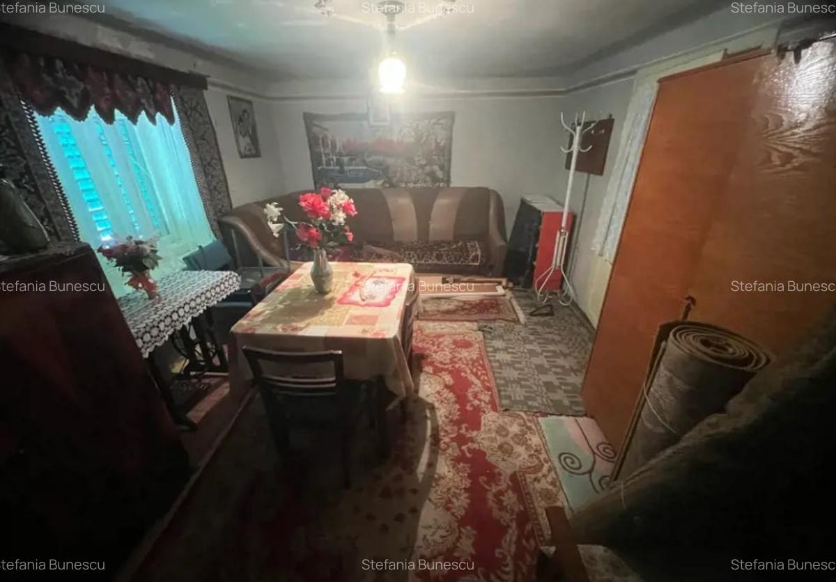 Casa individuala de vanzare | 100 mp utili | teren 2300 mp - sat Rusi - 6