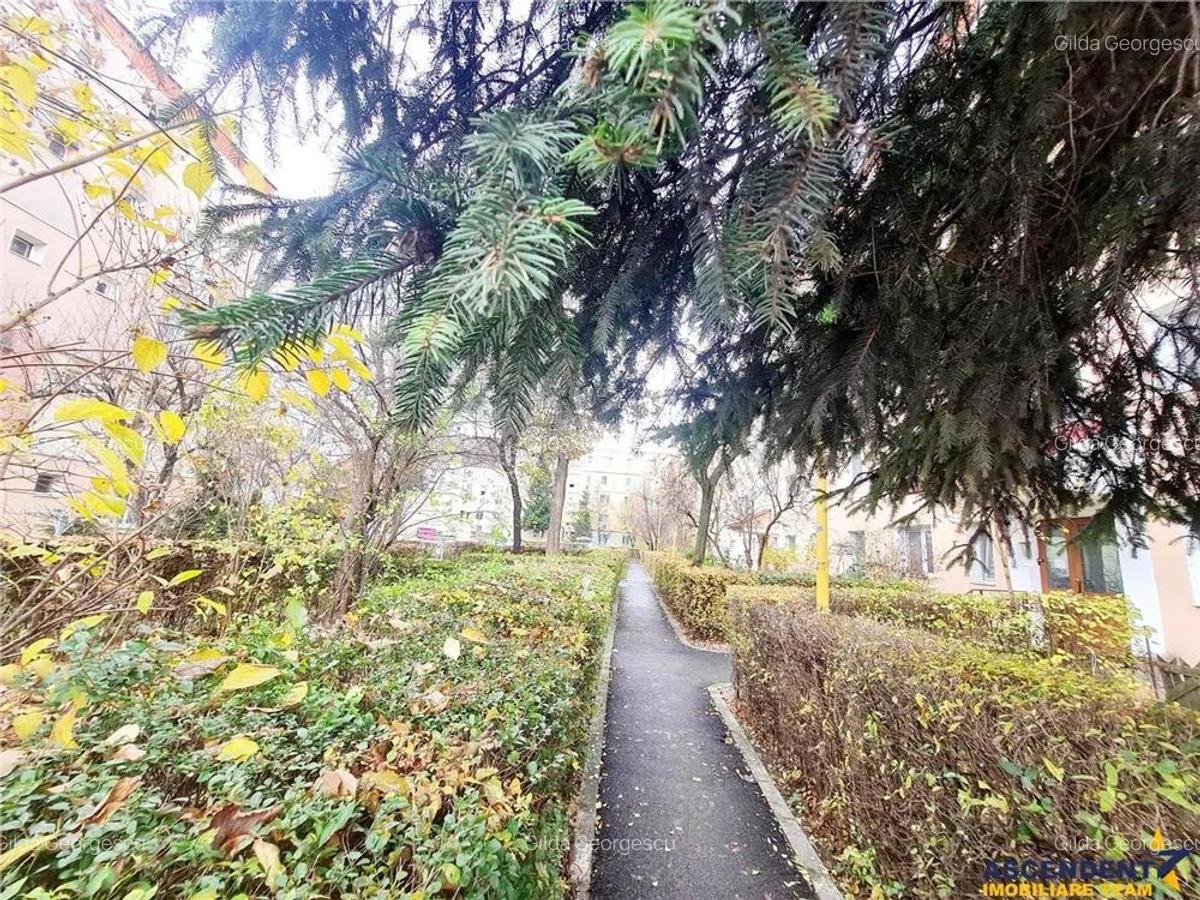 Cartierul Florilor, imobil renovabil, etaj intermediar, zona linistita, Brasov - 12