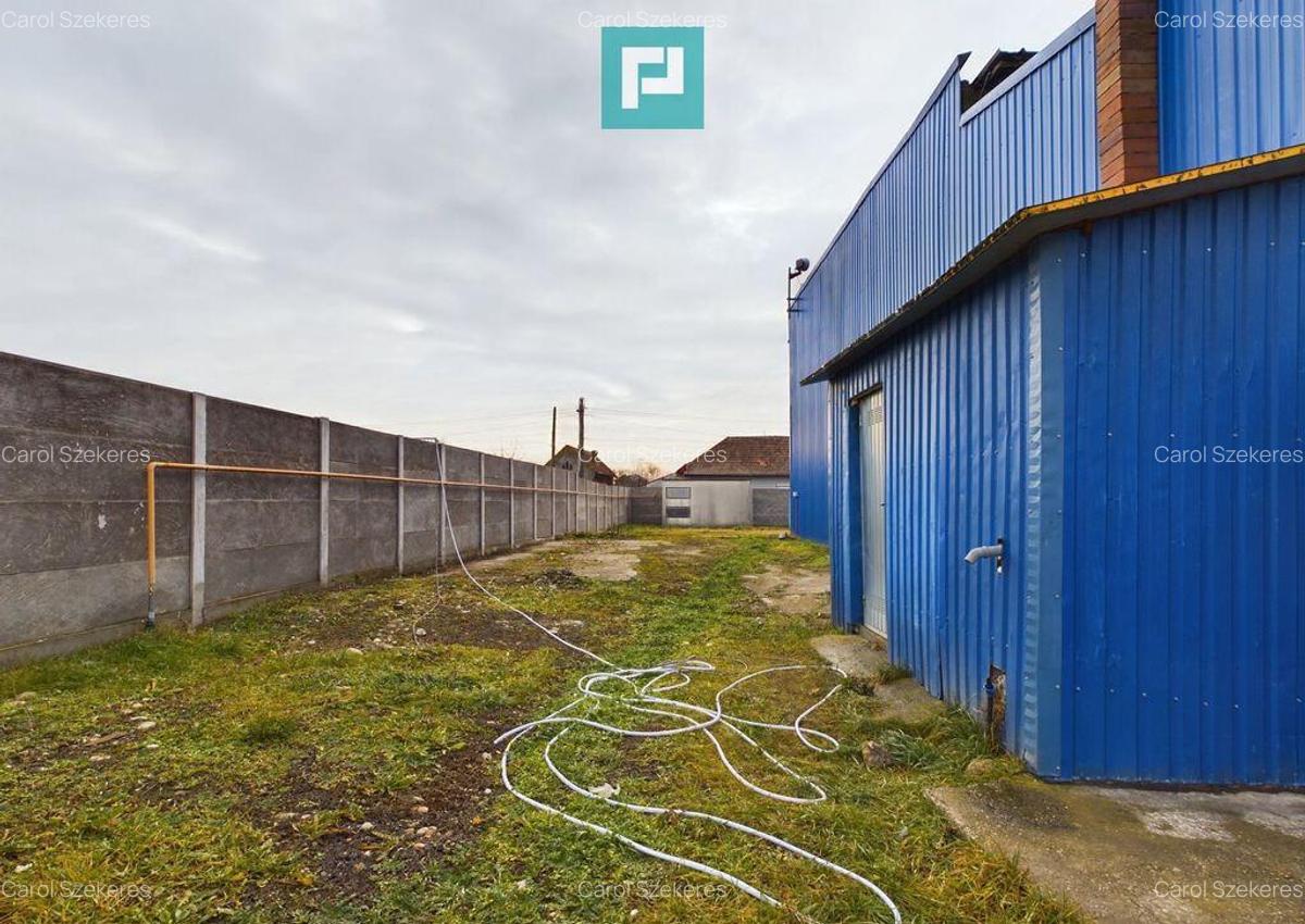 Depozit frigo de inchiriat in Sacalaz - 11