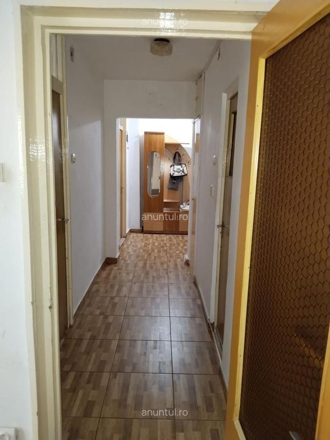 Obor, Colentina, Teiul Doamnei vav Sectia 7 Politie, 15 minute metrou - 4