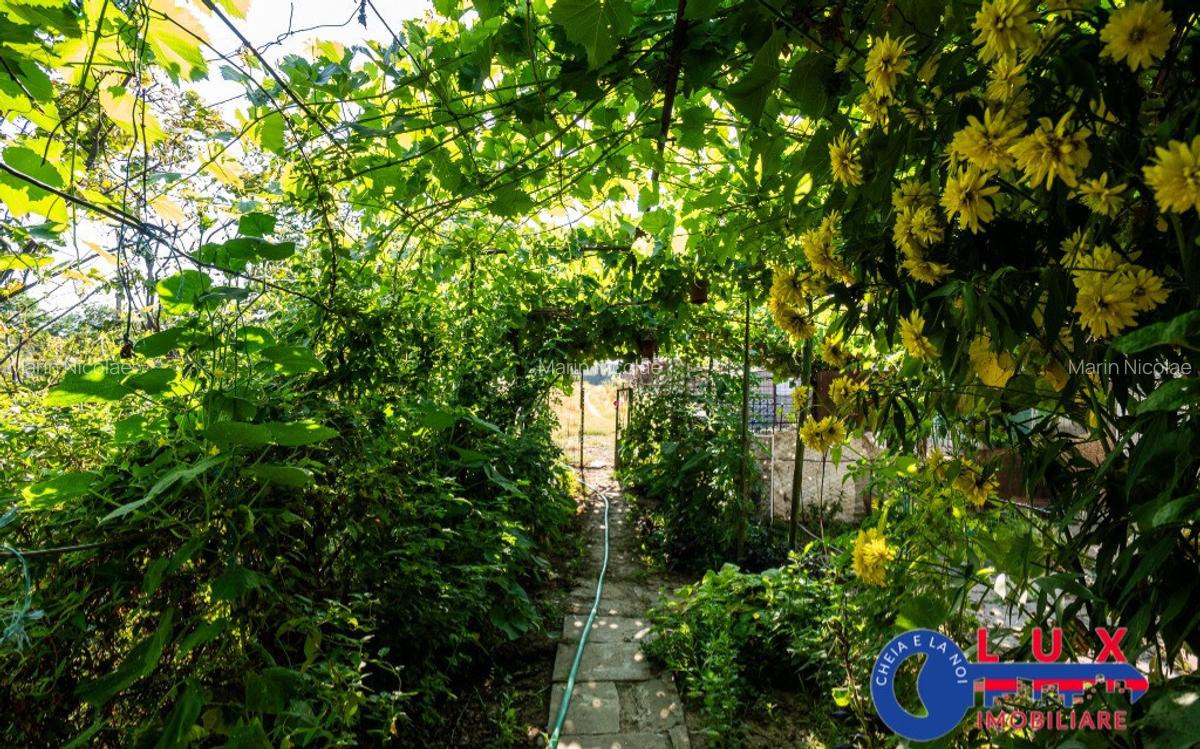 ID 6709 EXCLUSIVITATE-Proprietate cu poten?ial in M. Kogalniceanu - 9