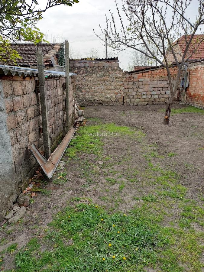 Casă de vânzare urgent în Jimbolia- 731 - 17