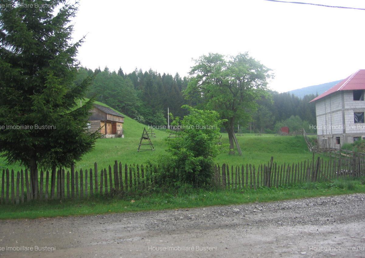 Teren intravilan Valea Doftanei - 4