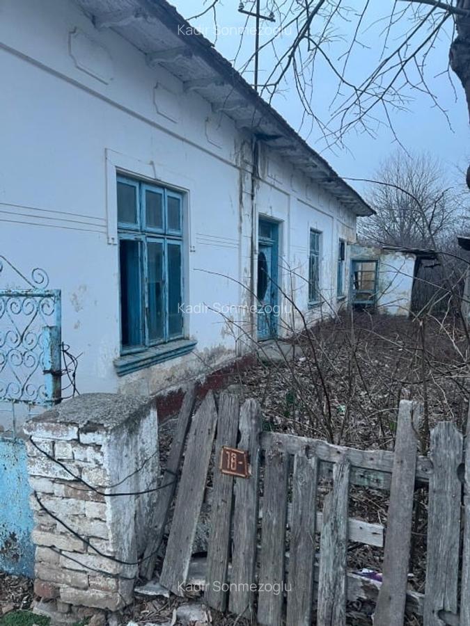 Teren Intravilan Strategic în Negru Vodă, 1033 mp, Deschidere 19.5m - Oportunita - 1