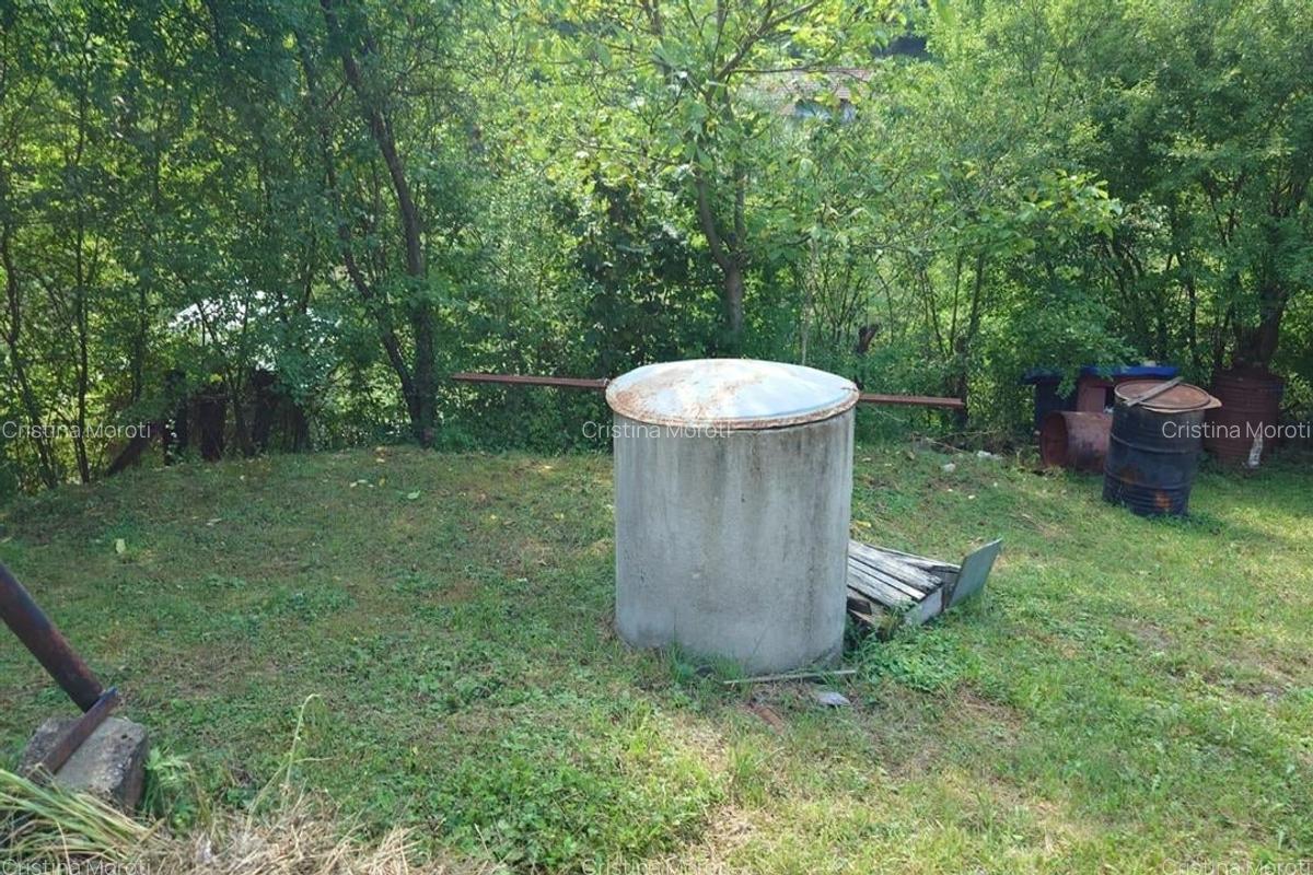 Cabana, anexe si 2000 mp teren intravilan in Taratel, Brad - 18