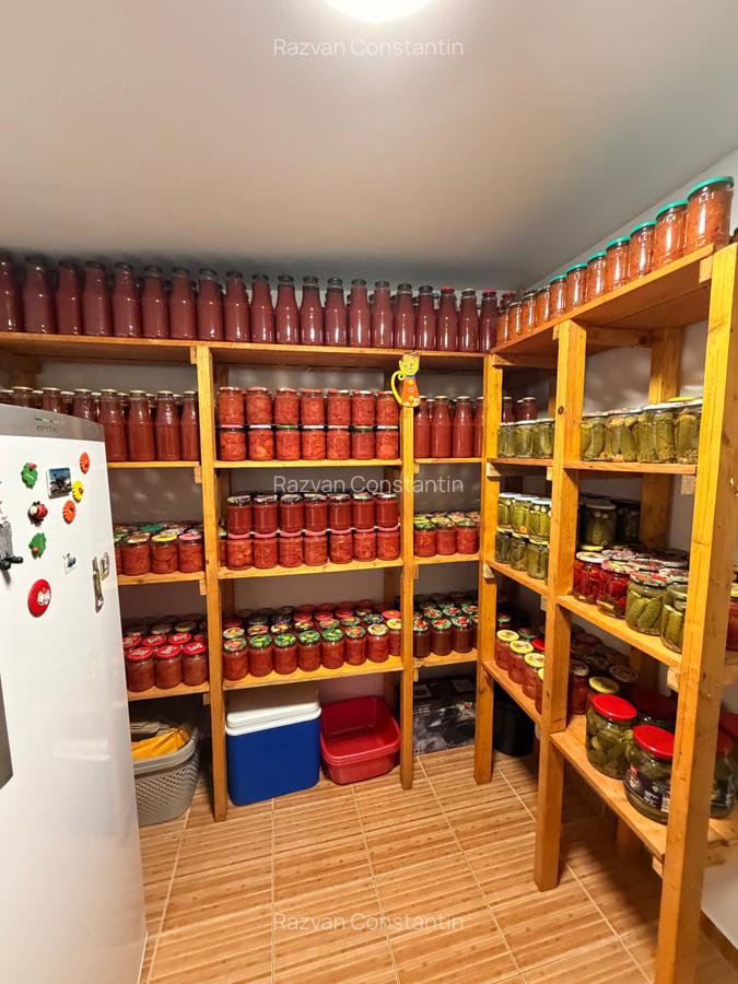 Ap cu 2 camere | Garaj dublu + Gradina + Anexe | Vidra - 14