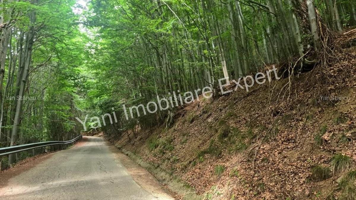 Teren de vanzare in apropiere de Transfagara?an ?i Valea Valsanului. - 17