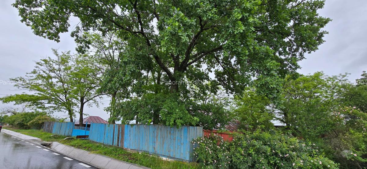 Casa si teren intravilan 4200 mp  Cotesti - 1