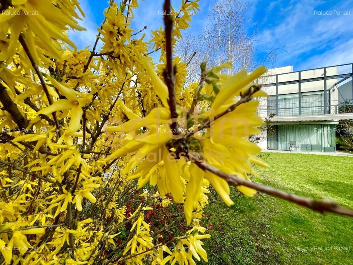 SUPERB/ ESQUISITE DESIGN/ GARDEN/ PARKINGS/ IANCU NICOLAE - 2