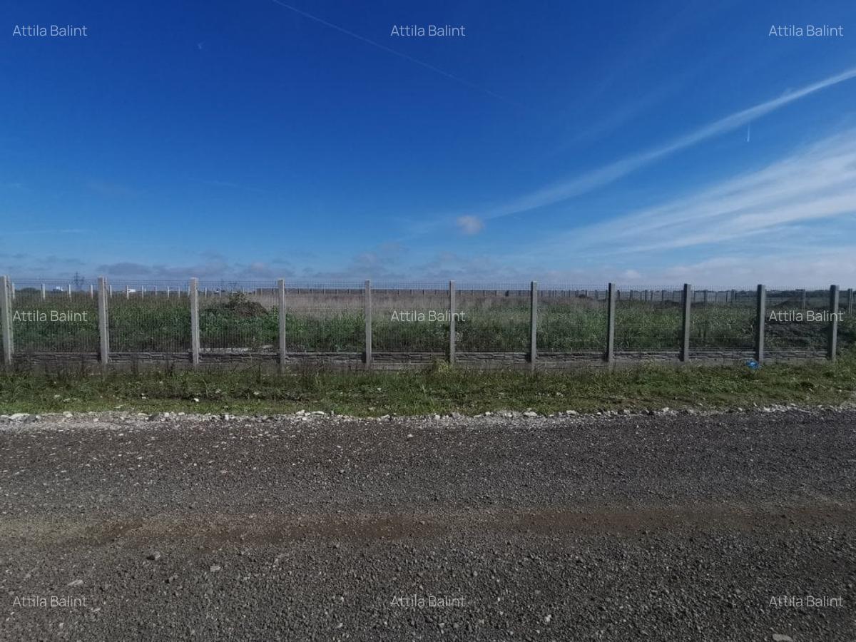 Dumbravita teren industrial 2581 mp - 2