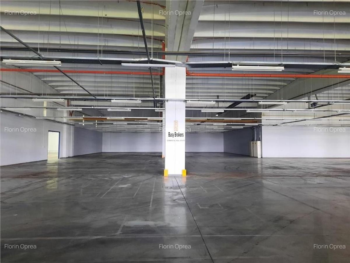Spațiu industrial, 5000 mp în Periferie - 4