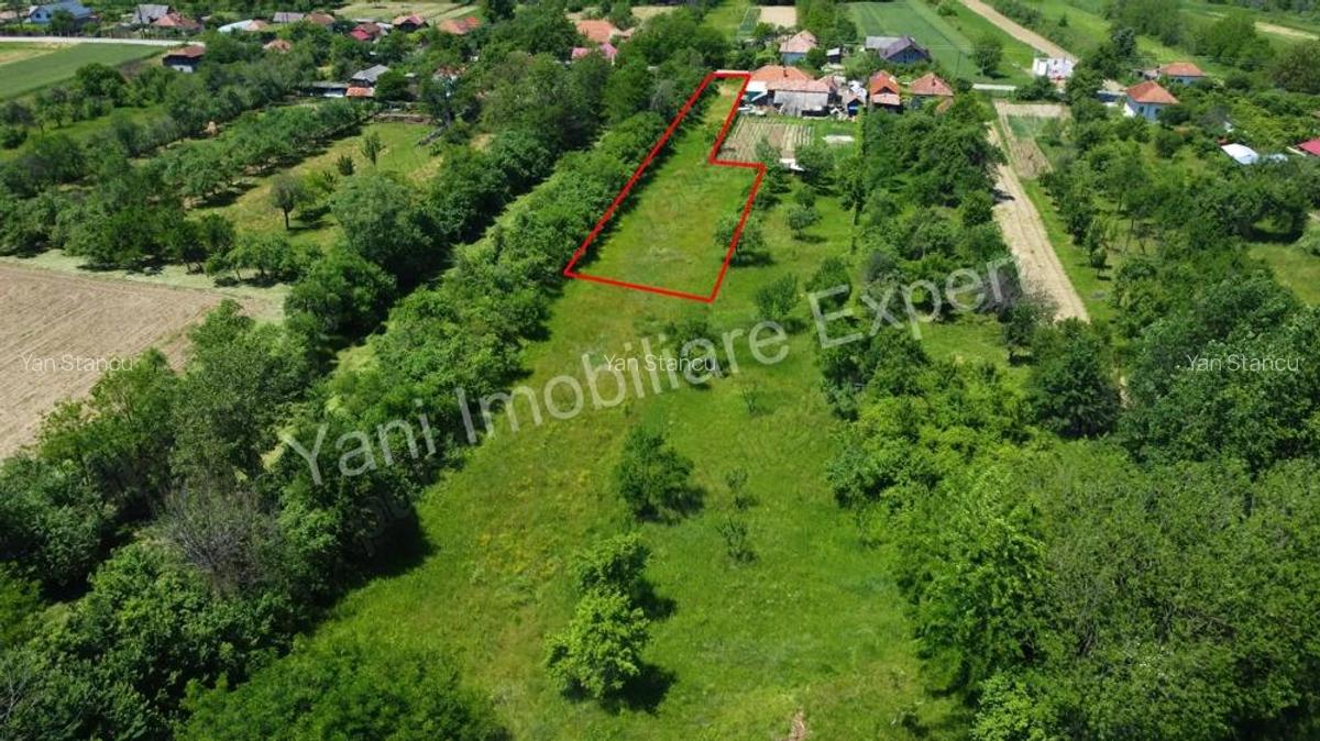 Teren de vanzare in comuna Poienarii de Arge?, sat Ceaure?ti, Jude? Arge?. - 14