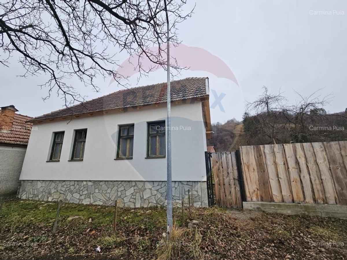 CASA 3 CAMERE SINCA NOUA / 5650 mp teren - 6