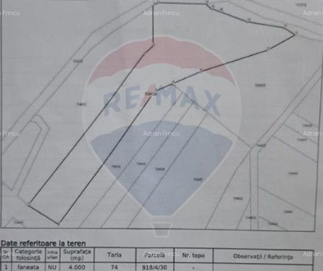 Teren extravilan, faneata, 4000 mp, Tarlungeni - 3
