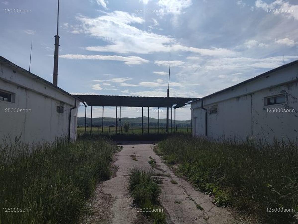 Hale pentru depozitare sau productie, teren aferent, vanzare sau inchiriere. - 4