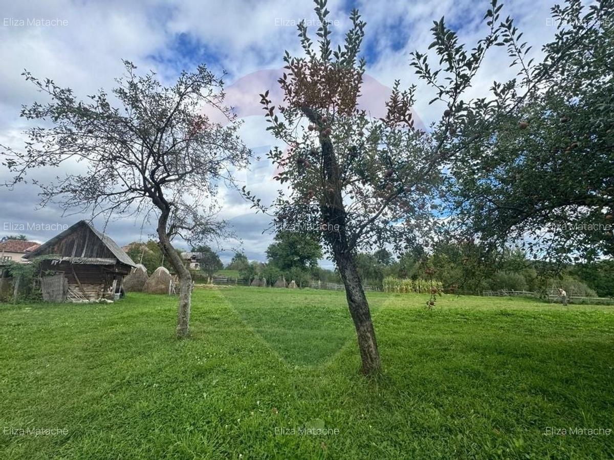 O oportunitate unica in inima naturii -- 6.605 mp in Candesti - 12