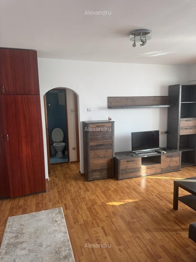 Apartament 2 camere de inchiriat Victoriei - 4