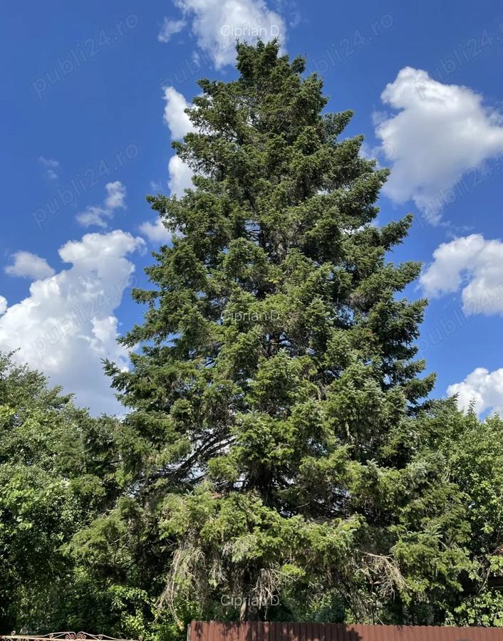 Teren intravilan - 3