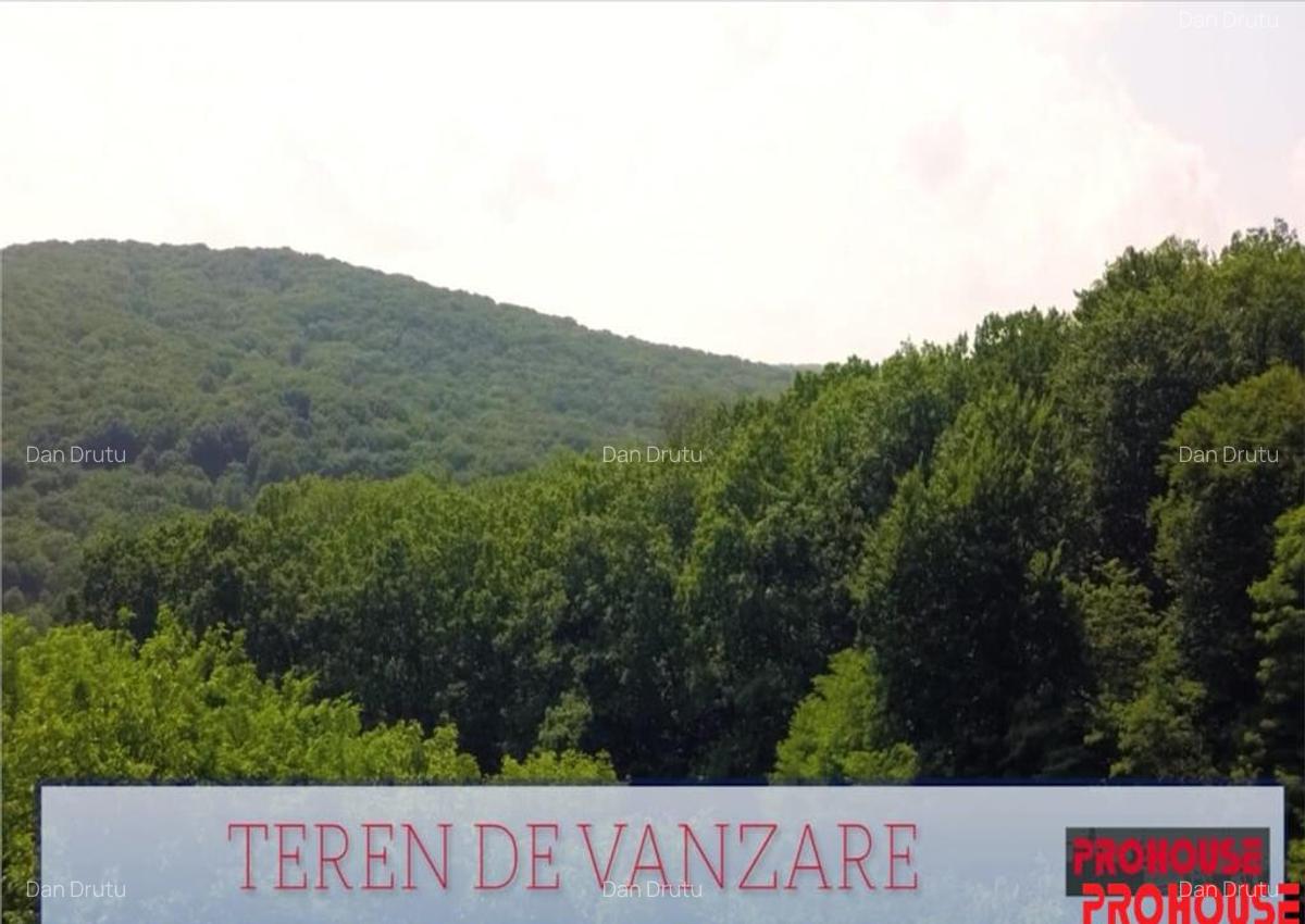 Valea Budului - Teren intravilan. Lac. Padure - 14