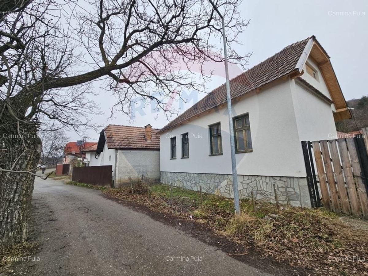 CASA 3 CAMERE SINCA NOUA / 5650 mp teren - 2