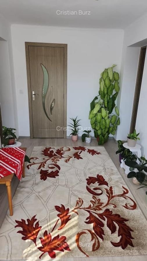 Casa individuala si 600 mp teren in Sic, Cluj - O oportunitate rara - 5