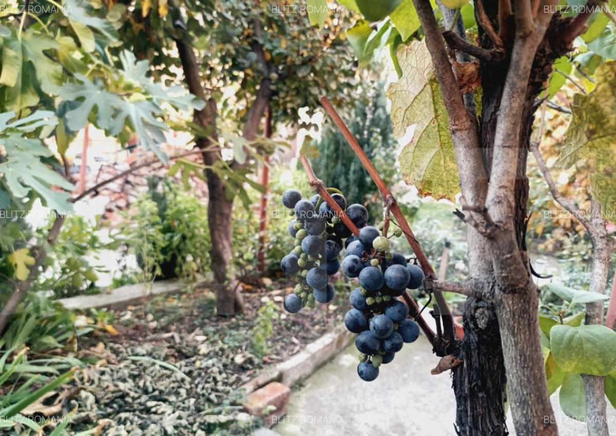 Apartament cu 3 camere, zona Iosefin - 7 Apartament cu 3 camere, zona Iosefin - 7