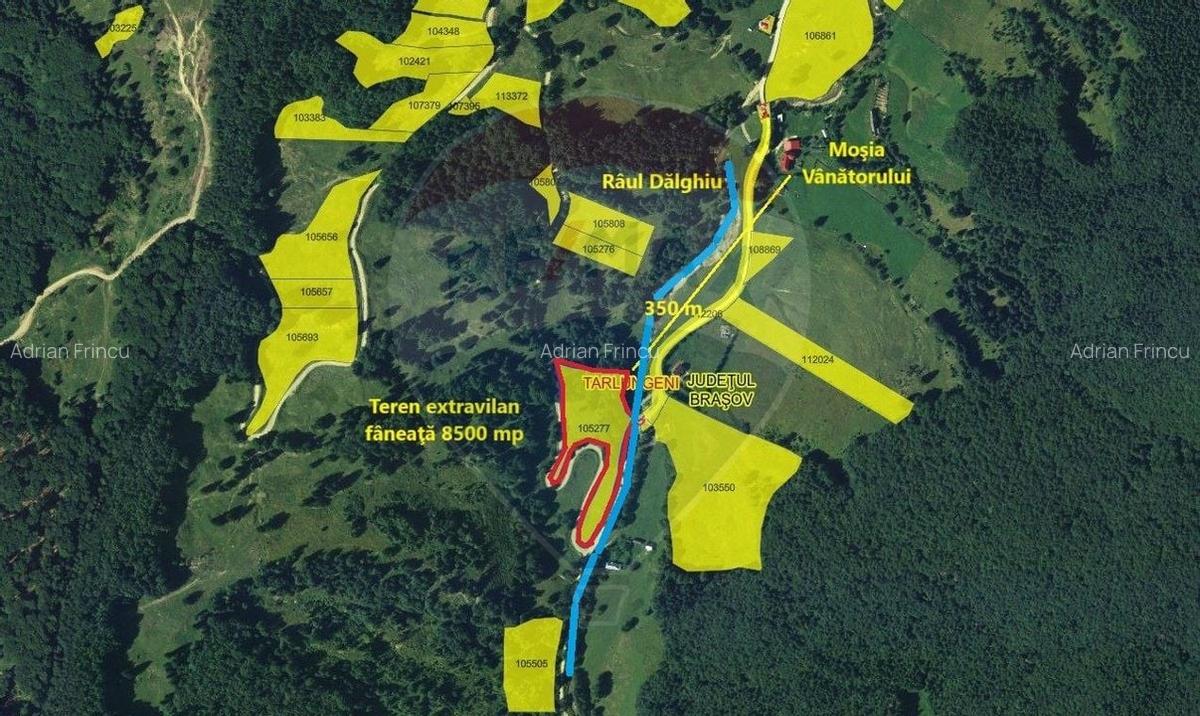 Teren 8500 mp, Valea Dalghiului - Dalghiu - vedere catre Ciucas - 3
