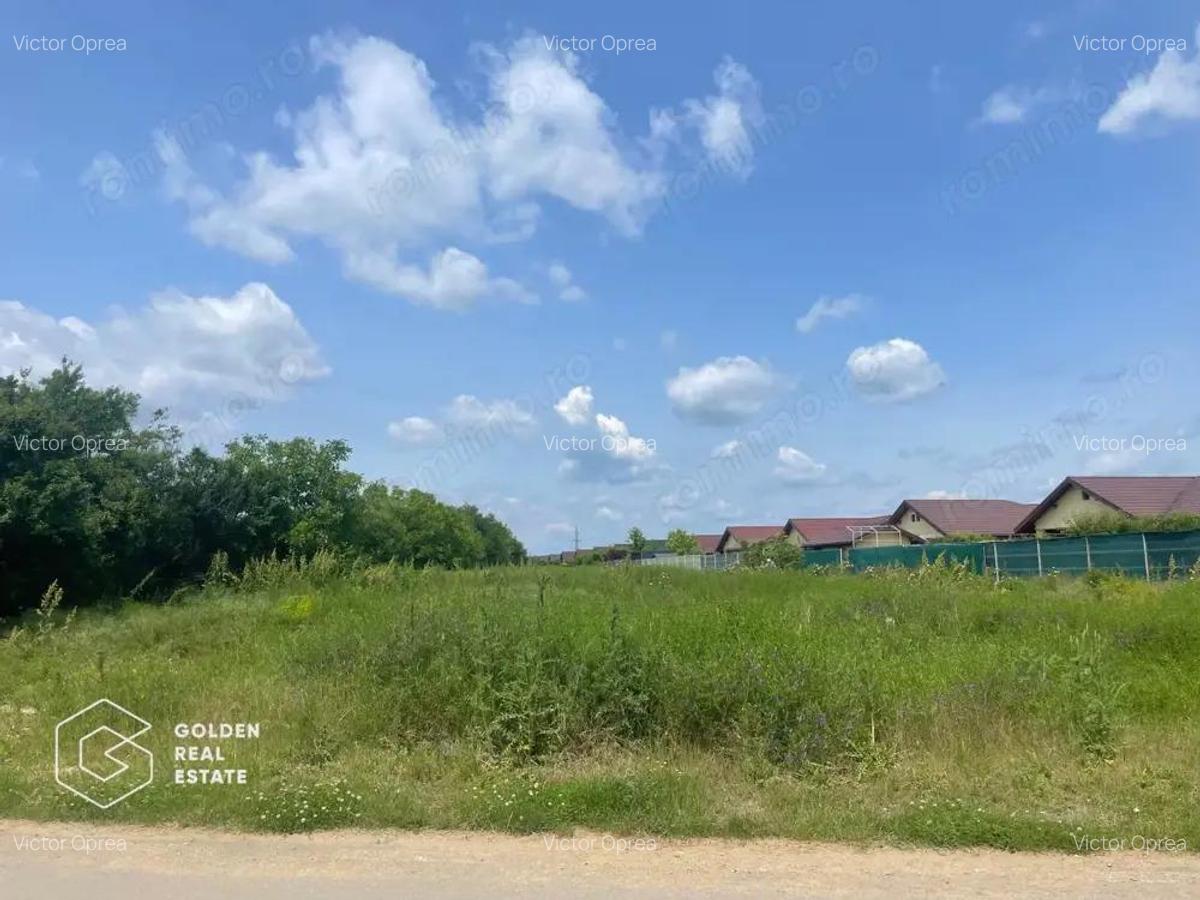 Teren intravilan, Balote?ti, Strada Cameliei 36, 10.000 mp - 2