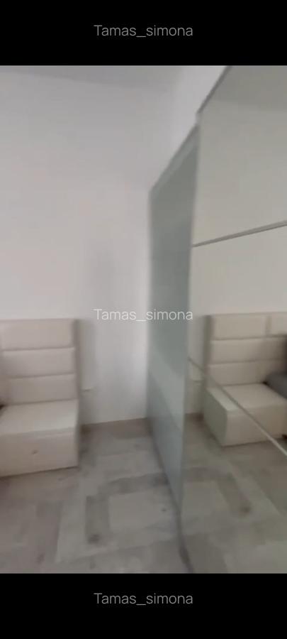 BULEVARDUL CONSTANTIN BRANCOVEANU-STRADA LUICA-APARTAMENT 3 CAMERE - 6