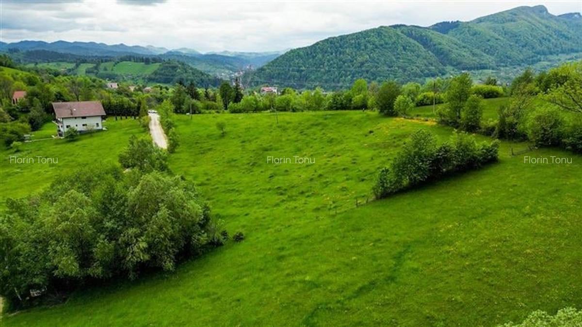 Film! 11.000 mp,pozitionare valoroasa,conditii apreciabile, Sohodol, Bran, Braso - 10